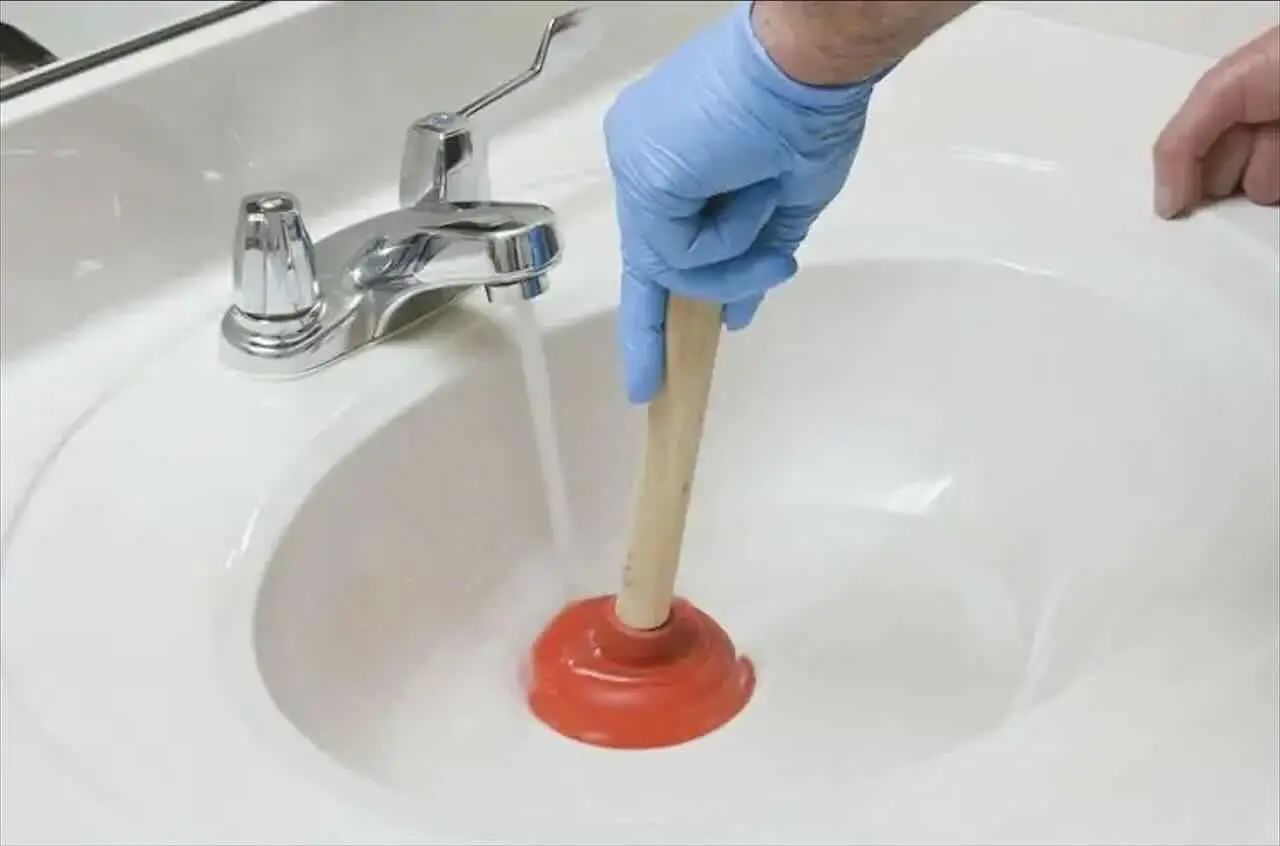 Immagine selezionata