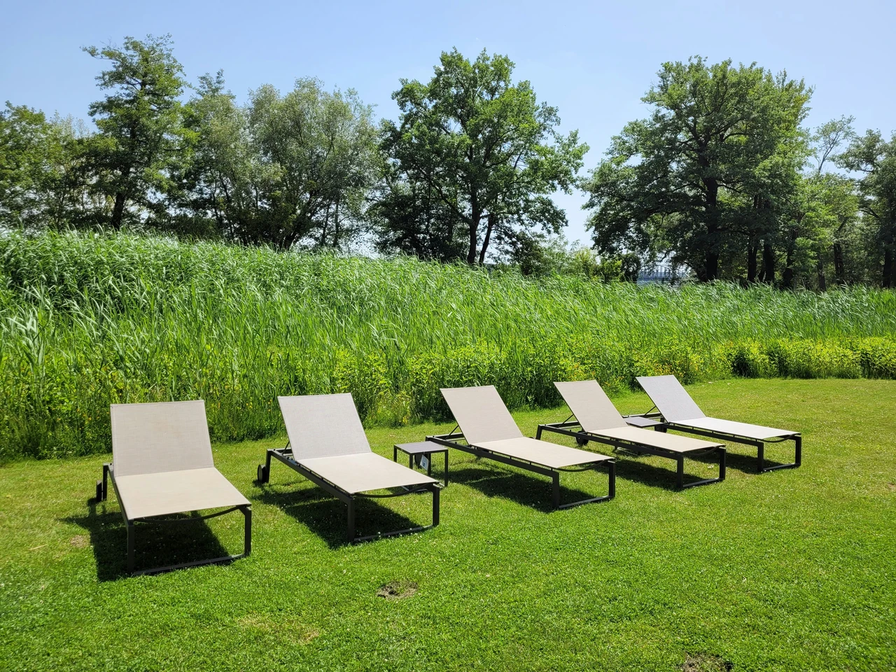 Immagine selezionata